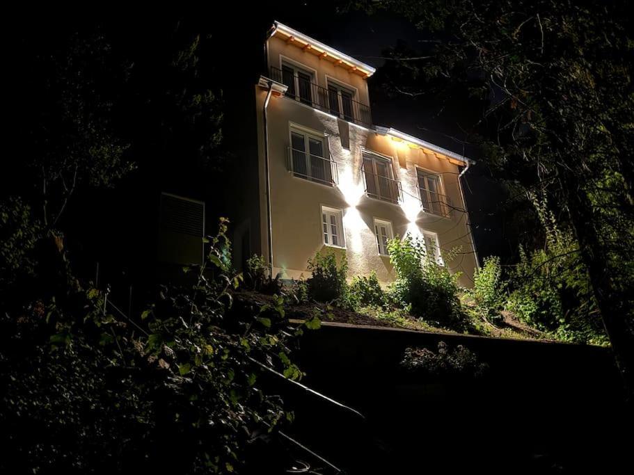 Appartamento Zur Donauinsel Bad Abbach Esterno foto